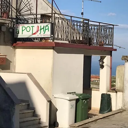 Frustia